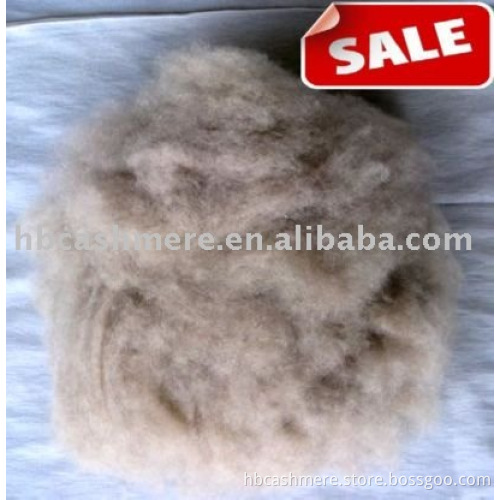 dehaired washed pure 100% cashmere fibres